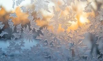 A window with frosted glass and a view of trees photo