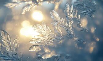 A close up of a leaf with frost on it photo