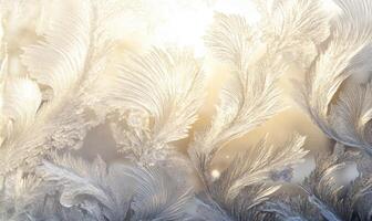 A close up of a frosty window with a beautiful, intricate design of ice crystals photo