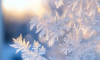 A close up of a snowflake with a blue sky in the background photo