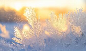 A close up of a frosty branch with a bright orange sun in the background photo