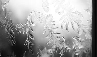 A window with frosted glass and a leafy pattern photo