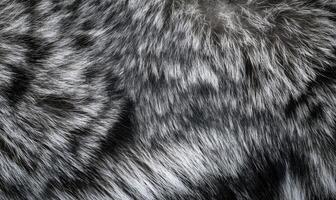 A close up of a fur texture with a black and white color scheme photo