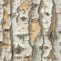 Photo of a seamless texture of birch tree bark, smooth with fine details