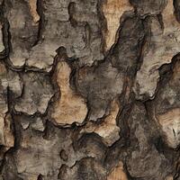 Photo of a seamless texture of hemlock bark