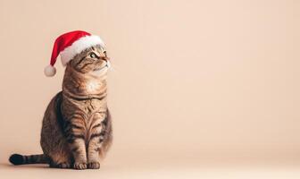 a curious cat in a Santa hat sitting with empty space on the right, soft beige background photo