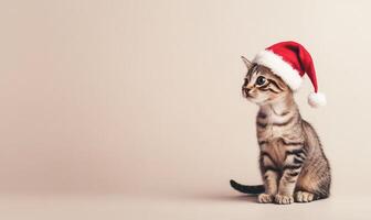 a curious cat in a Santa hat sitting with empty space on the right, soft beige background photo