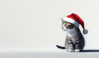a cat in a Santa hat, white background, empty space on the left photo