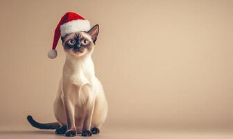 a Siamese cat in a Santa hat, beige background, empty space on the right side photo