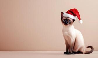 a Siamese cat in a Santa hat, beige background, empty space on the right side photo