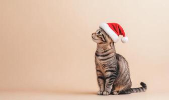 Cat wearing a Santa hat, soft beige background, empty space on the left photo