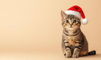 Cat wearing a Santa hat, soft beige background, empty space on the left photo