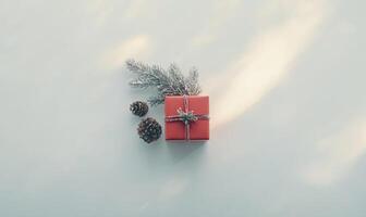 A red box with a pine cone on top of it photo