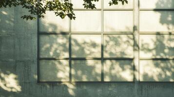 Window with Tree Branch Shadow Pattern on a Concrete Wall photo