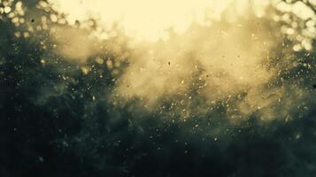 Golden Dust Particles Floating In The Air photo