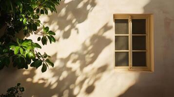 Green Leaves Cast Shadows on a Beige Wall with a Window photo
