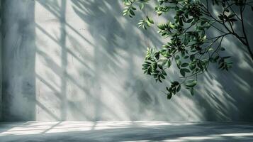 Organic background with soft natural light streaming onto a light gray concrete wall and floor neutral tones and shadows of leaves creating a perfect modern minimal aesthetic photo