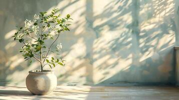 Calm neutral room with light pastel walls shadows of plants falling across the surface sunlight streaming in from a window creating a peaceful modern aesthetic for product photography photo