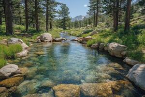 Crystal clear water flowing down a mountain stream surrounded by trees photo