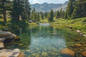 Crystal clear water flowing down a mountain stream surrounded by trees photo