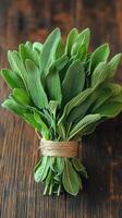 Bouquet of fresh sage tied with twine on rustic wooden table photo
