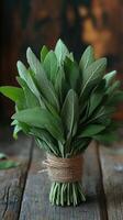 Bouquet of fresh sage tied with twine on rustic wooden table photo