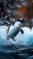 Chinstrap penguins jumping out of icy water photo