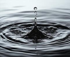 Water droplet falling creating concentric ripples on water surface photo