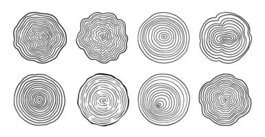 Tree ring wood circle set. Hand drawn tree ring pattern, line ripple circle wood texture. Wood organic slice line design. vector