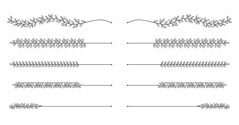 Hand - drawn nature floral vine line divider for text layout separator decoration element collection. illustration