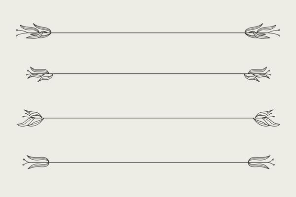 Nature floral vine line divider for text layout separator decoration element collection. illustration