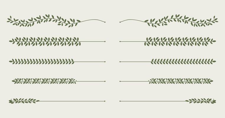 Leaves vines line divider for text layout separator decoration element set. illustration