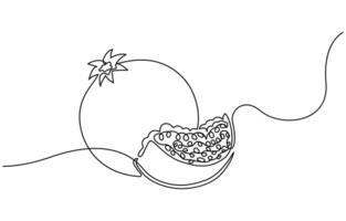 Pomegranate in Continuous single one line drawing vector