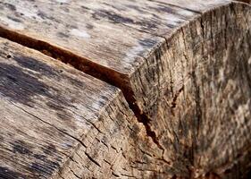 Close up brown rustic chopped tree woods texture isolated on horizontal ratio background. photo