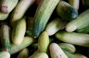 Pile of green fresh raw cucumber vegetable isolated on horizontal full frame background. photo