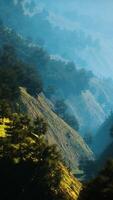 Sunset in mountain with green grass and trees video