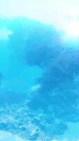 An underwater view of a rock formation in the ocean video