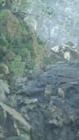 A mountain side with rocks and trees in the background video
