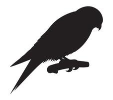 Silhouette of an African Pygmy Falcon on a White Background vector