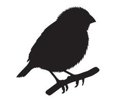 Simple Silhouette of an African Quailfinch on White vector