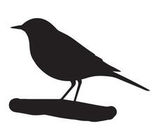 African Rock Pipit Shadow on a White Background vector