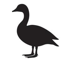 Silhouette of an African Pygmy Goose on a White Background vector