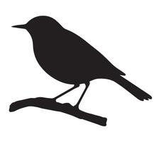 White Background with African Rock Pipit Silhouette vector