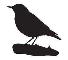 African Rock Pipit Shadow Silhouette on a White Screen vector