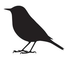 Silhouette of African Rock Pipit on White vector