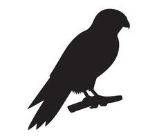 White Background Featuring the Silhouette of an African Pygmy Falcon vector