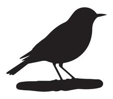 Simple Silhouette of African Rock Pipit on White Surface vector