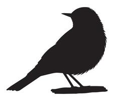 Silhouette of an African Rock Pipit on White Canvas vector