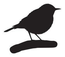 African Rock Pipit Silhouette in Front of White Backdrop vector