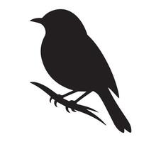 African Red-eyed Bulbul Shadow Image on White vector